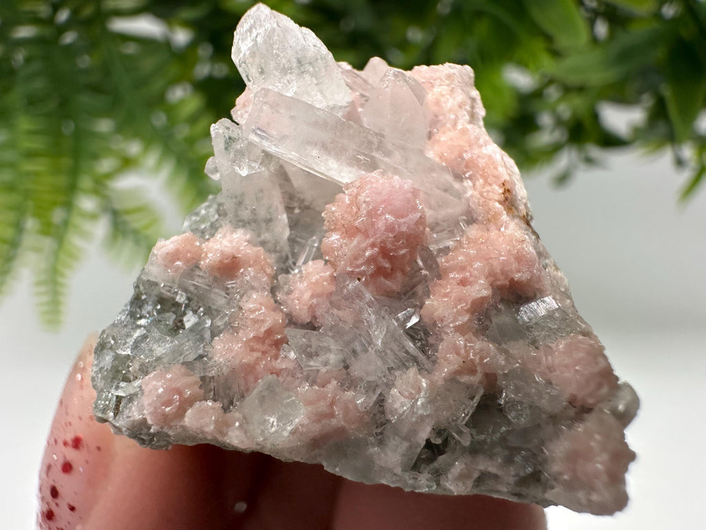 Pink Rhodochrosite Crystal: Starnica Mine, Bulgaria, Home Decor