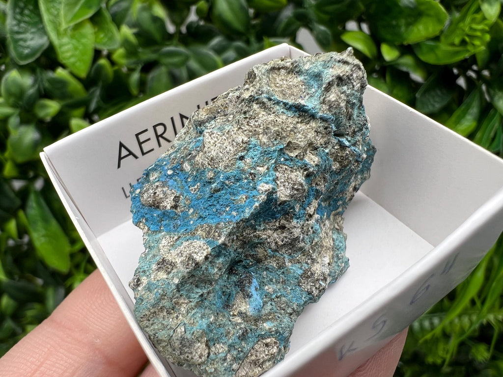 Rare Raw Aerinite Mineral Specimen: Lleida, Spain (4.5/3.5 CM)