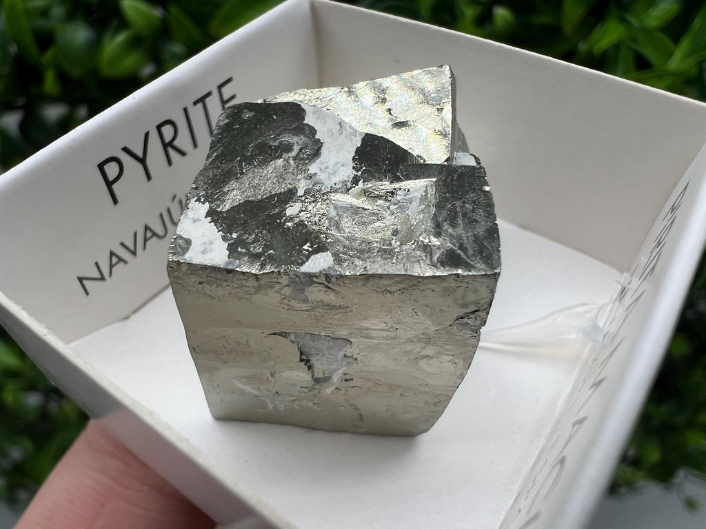 Navajun Pyrite Cube: Interjoined Gold Mineral Specimen, La Rioja Spain