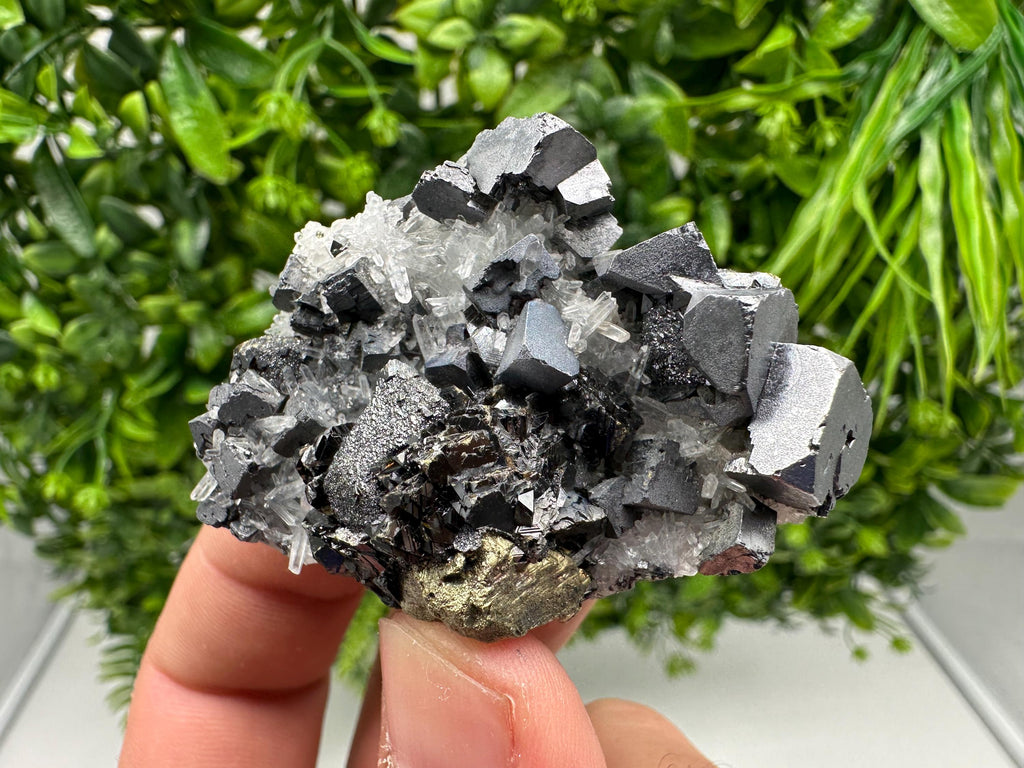 Aesthetic Natural shiny Galena whit Siderite and Quartz from 9 th September mine,Bulgaria,collection specimen,rare galena,Galena cluster