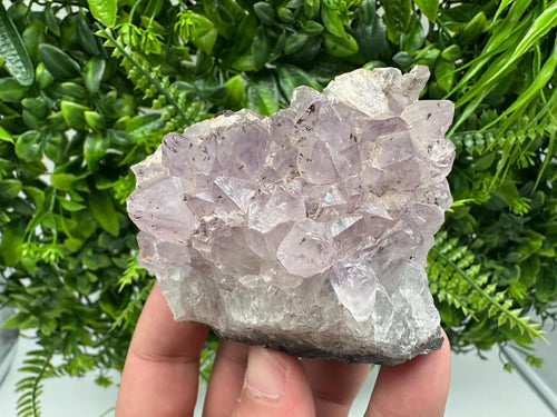 Brazilian Amethyst Crystal Cluster Specimen, Purple Quartz