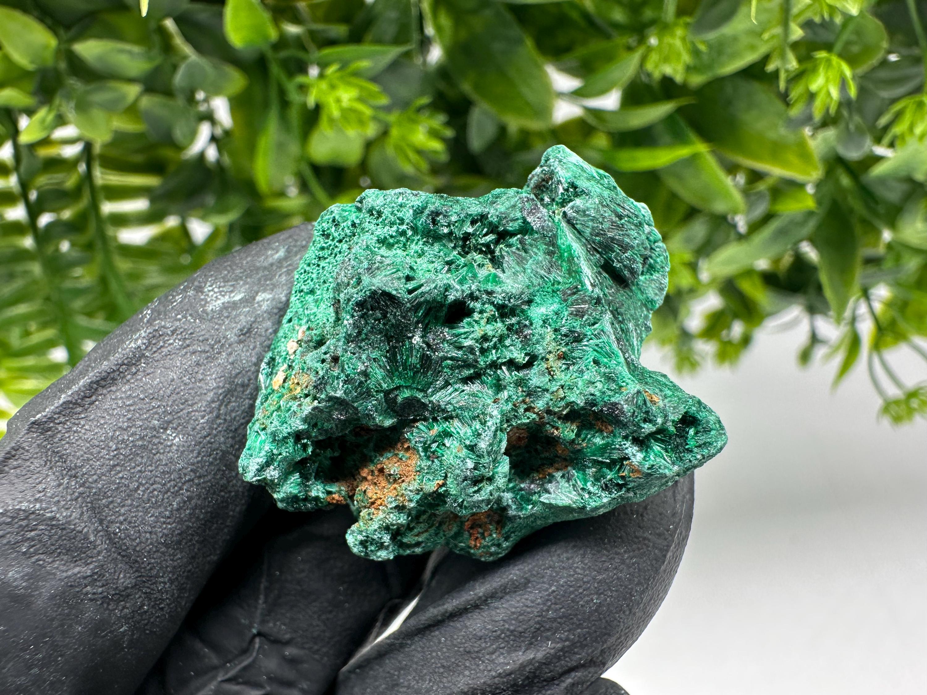 Malachite Crystal from Congo,Minerals,Crystals from Congo,Green Malachite, Malachite,Natural Malachite,Malachite Stone,Chakra, Specimens