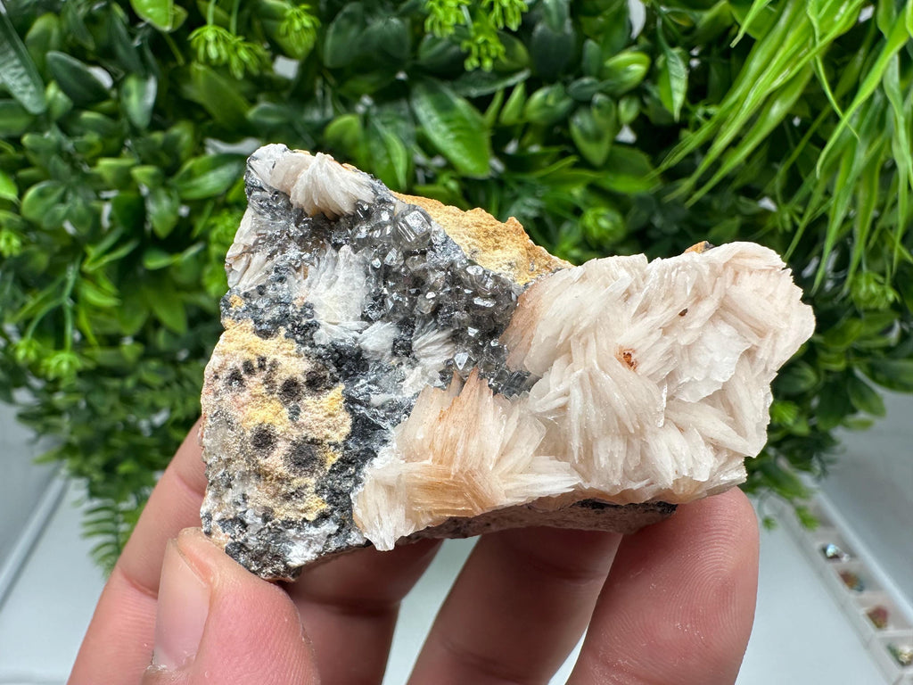 Wonderful Baryte with Cerussite on Galena from Morocco, Crystal, Mineral, Specimen, Cluster, Crystals, Barite Crystal, Cerussite Crystal, Specimen