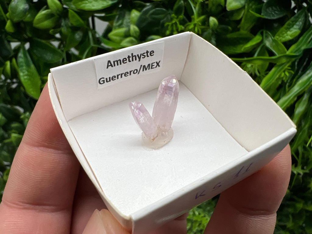 Mexican Amethyst Specimen: Crystal Collector Mineral (20mm)