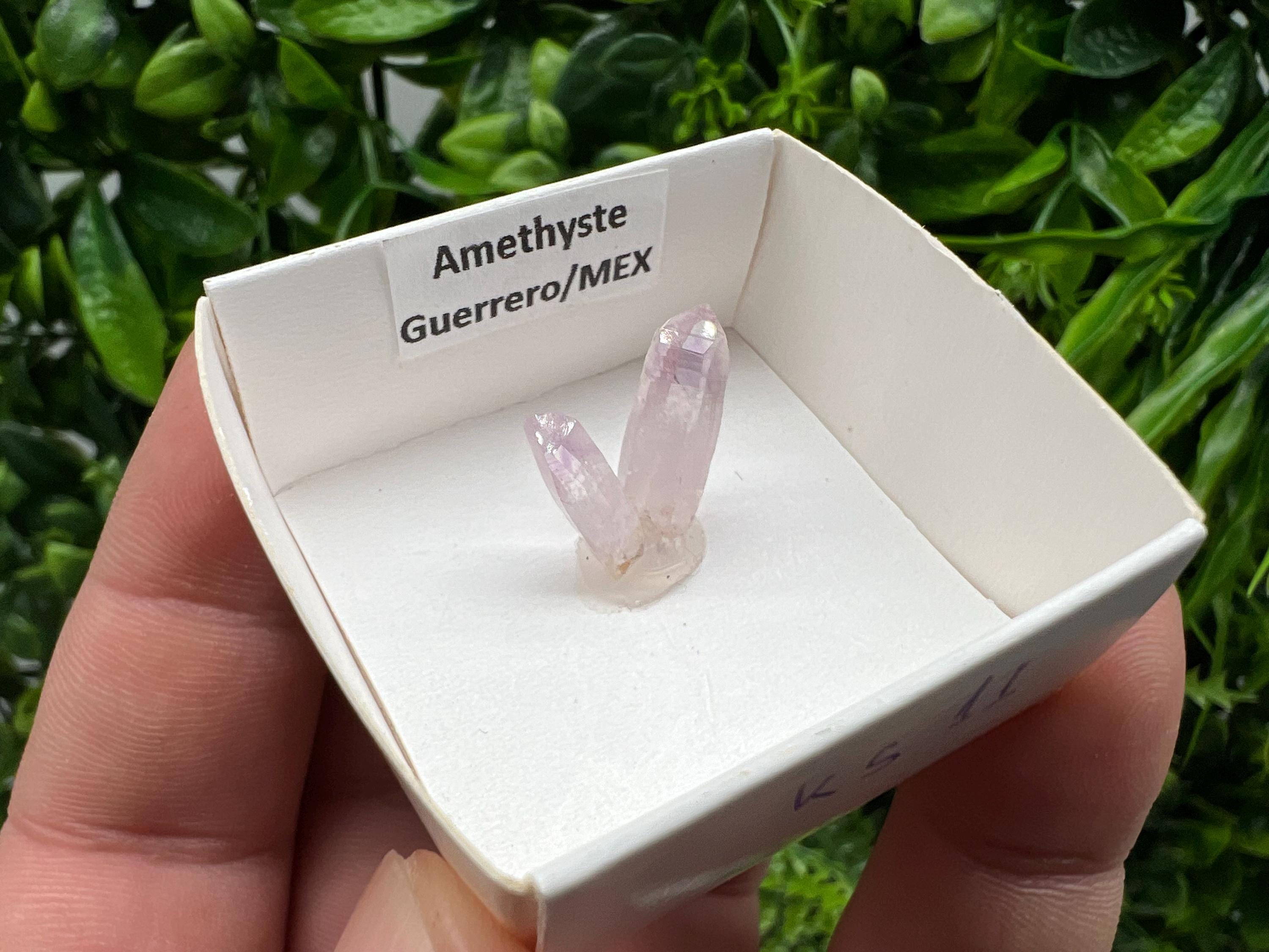 Mexican Amethyst Specimen: Crystal Collector Mineral (20mm)