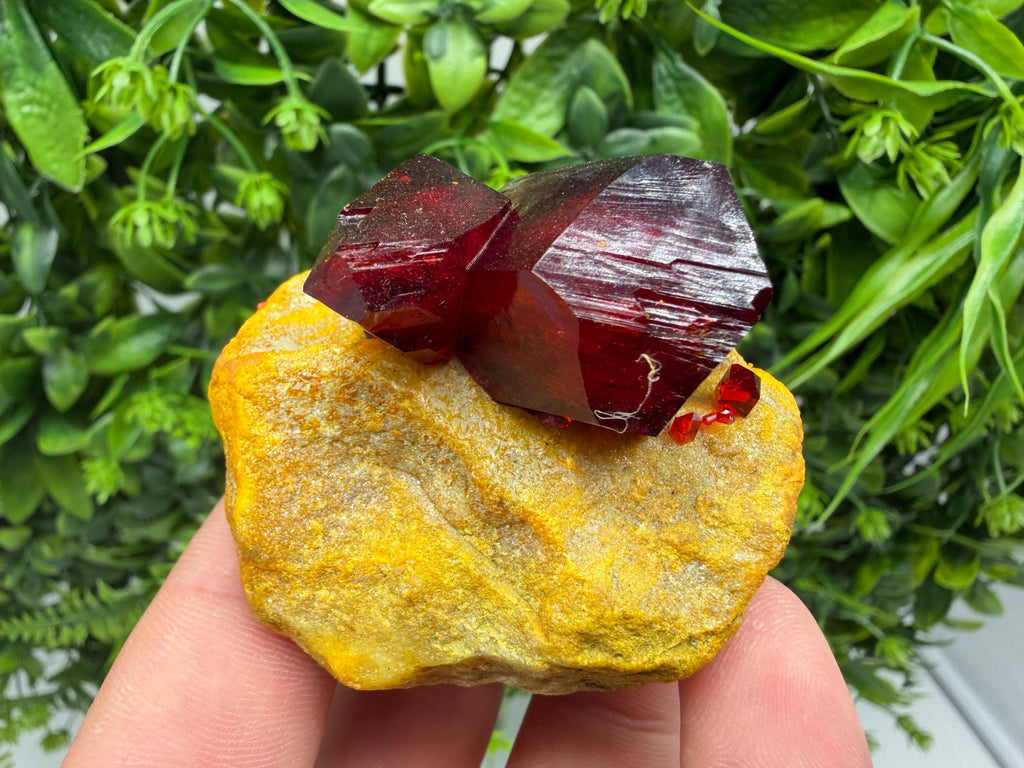 XXL Laboratory Pruskite Ruby Crystal on Matrix