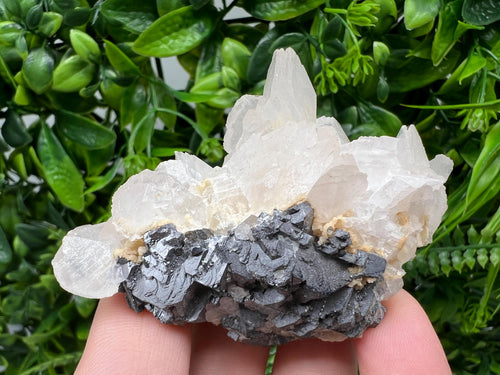 Calcite on Spinel Galena: Bulgarian Mineral Specimen, Home Decor Stone