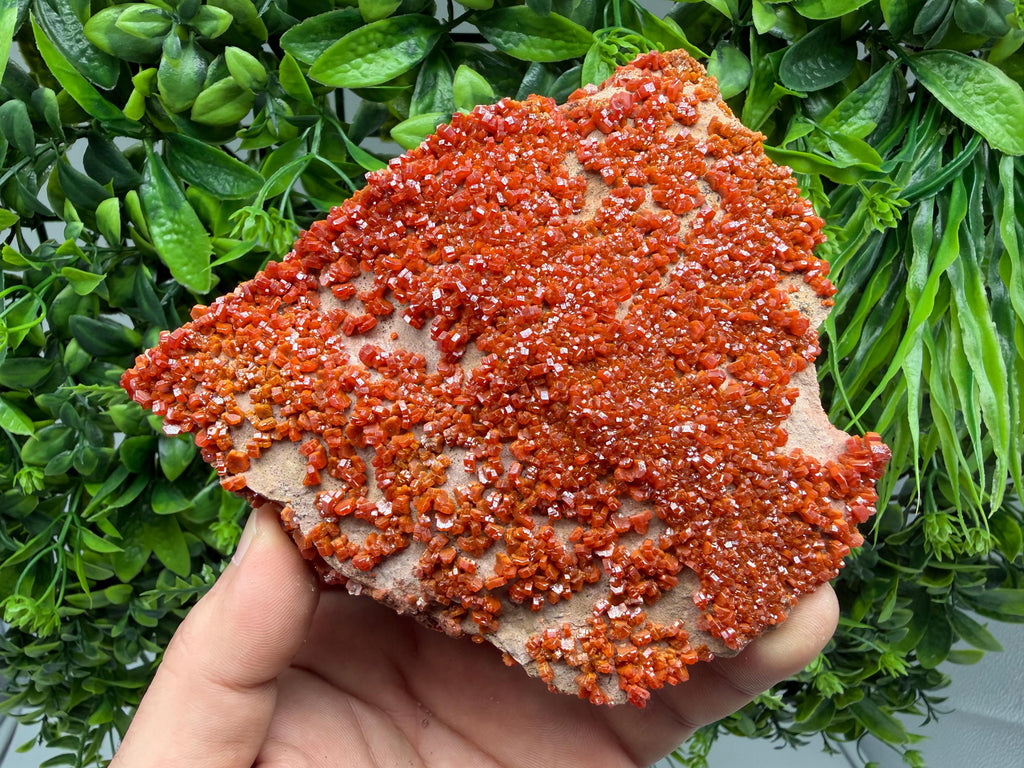 Red Vanadinite on Matrix from Marocco,crystal minerals Speciment cluster Vanadinite crystal Vanadinite Geology Vanadinite cluster minerals