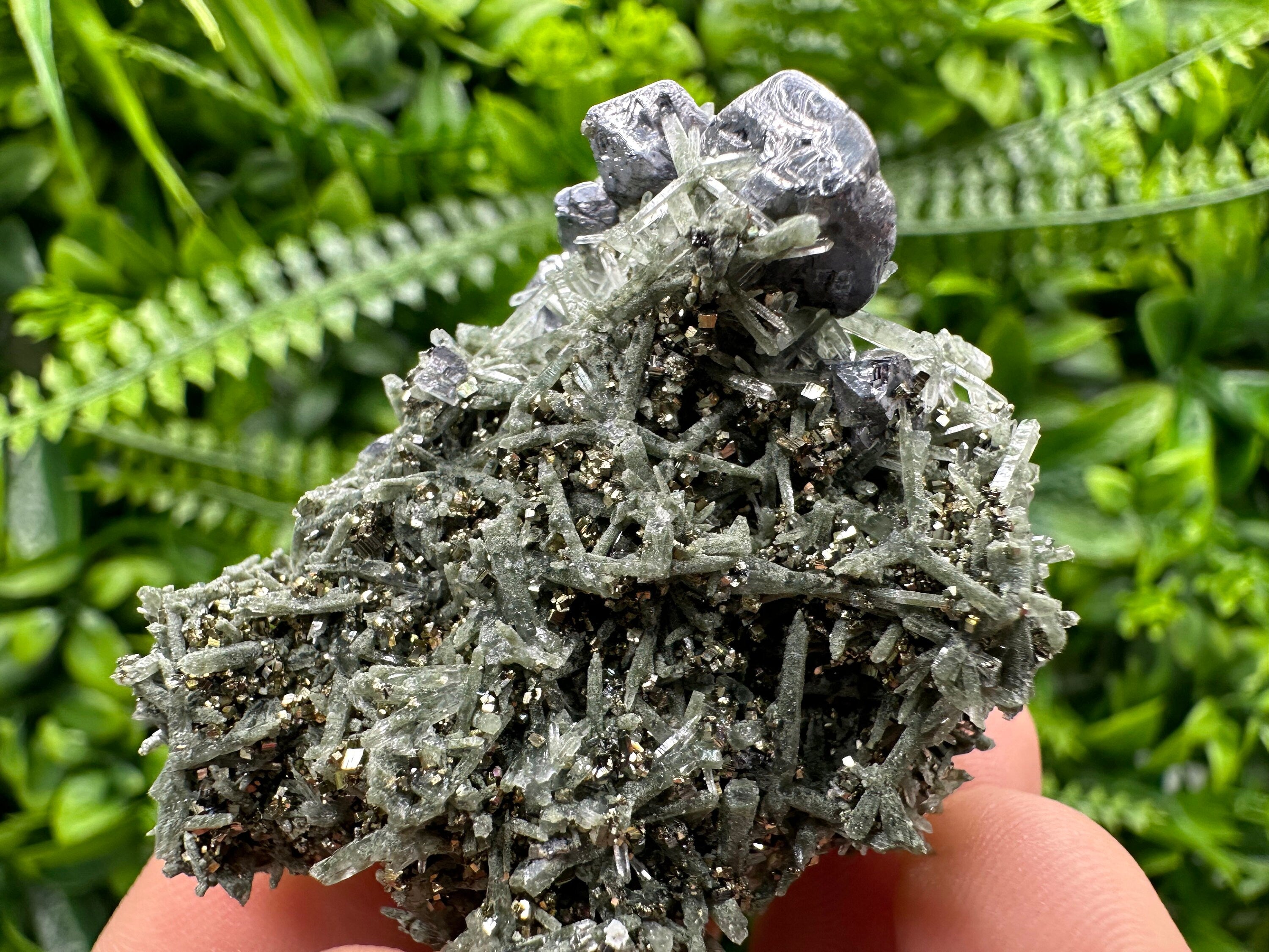 Galena Pyrite on Quartz: Borieva Mine Mineral Decor Stone