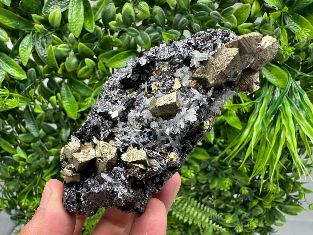 Chalcopyrite with Sphalerite on Quartz, Borieva Bulgaria