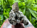Golden Pyrite Cluster, Natural Crystal Mineral Souvenir