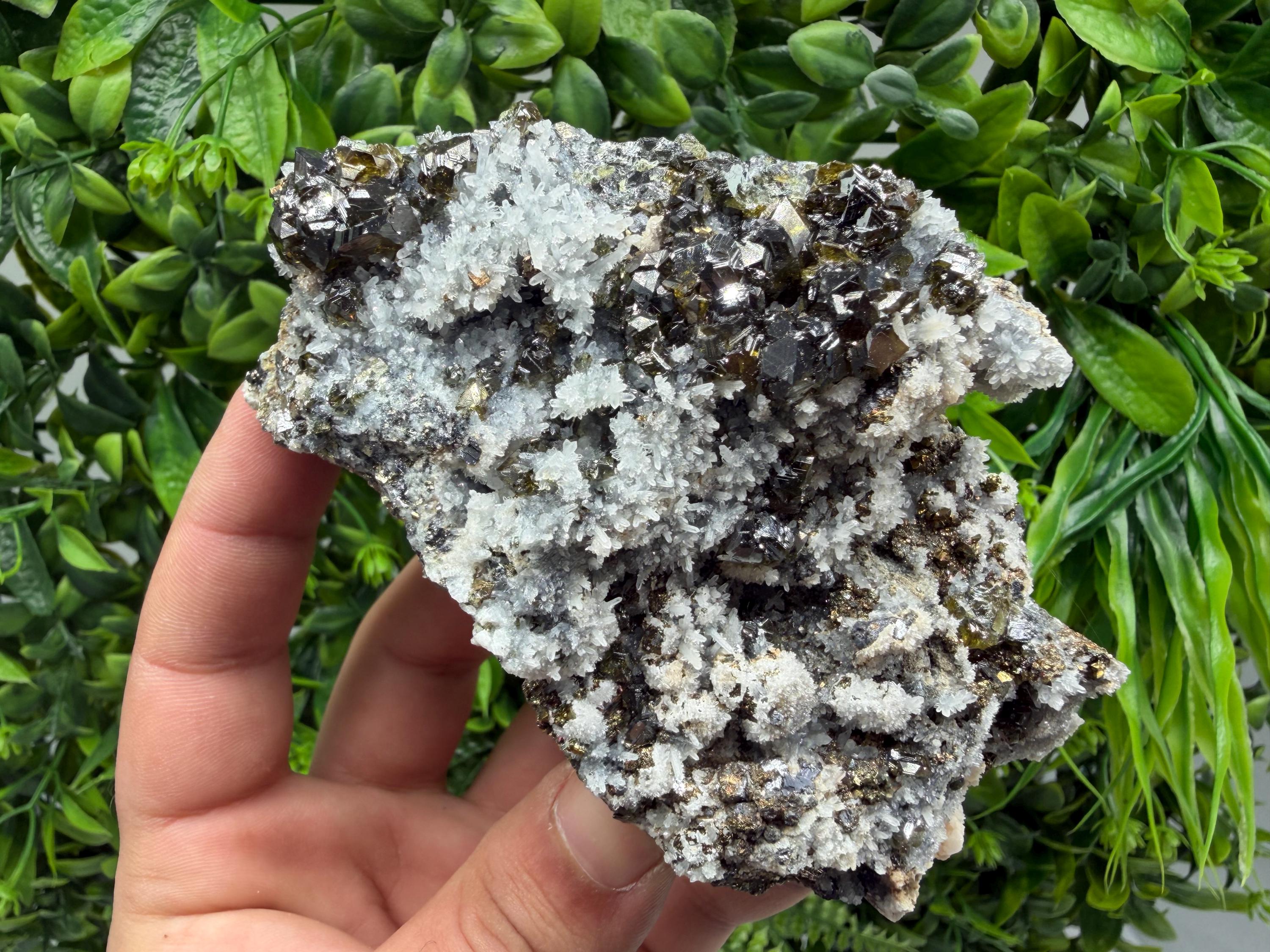 Stunning Gems Sphalerite Cleiopfane on Quartz from Krushev dol mine,Madan,Bulgaria,natural,collectible mineral specimen,home decor stone