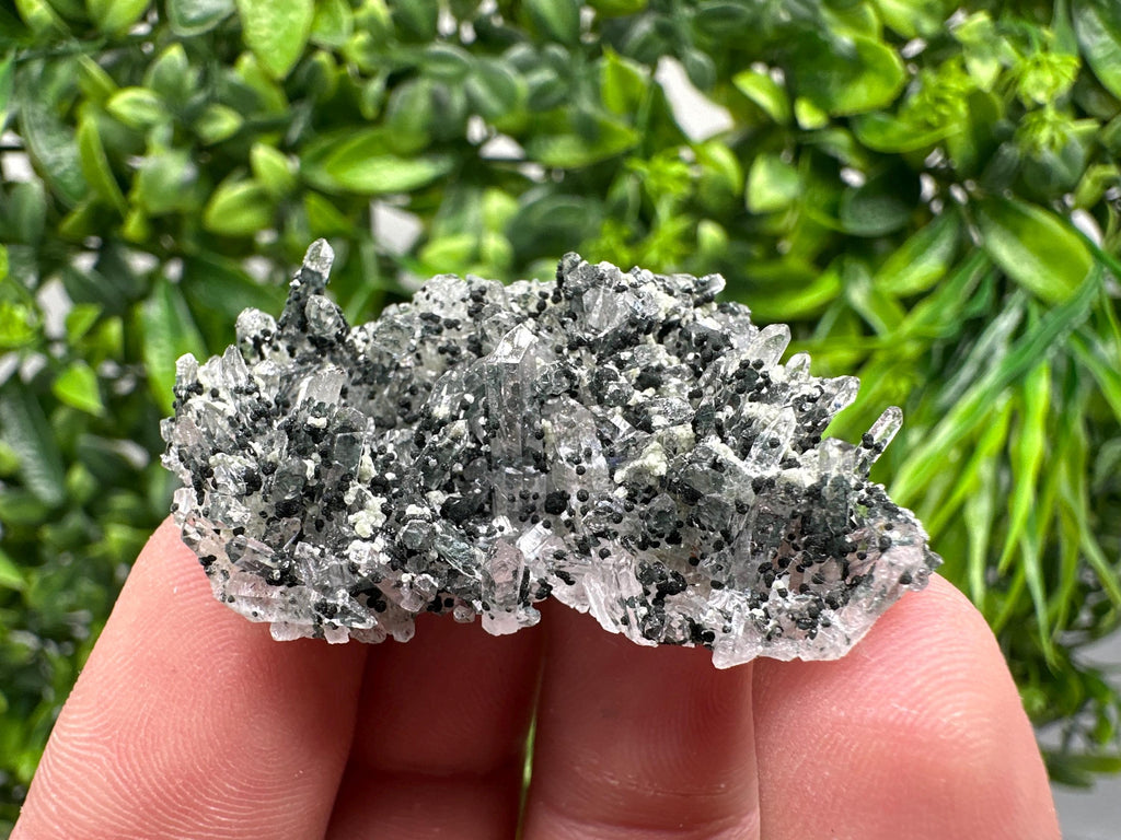 Chlorite Quartz Mineral Specimen, Borieva Mine, Bulgaria