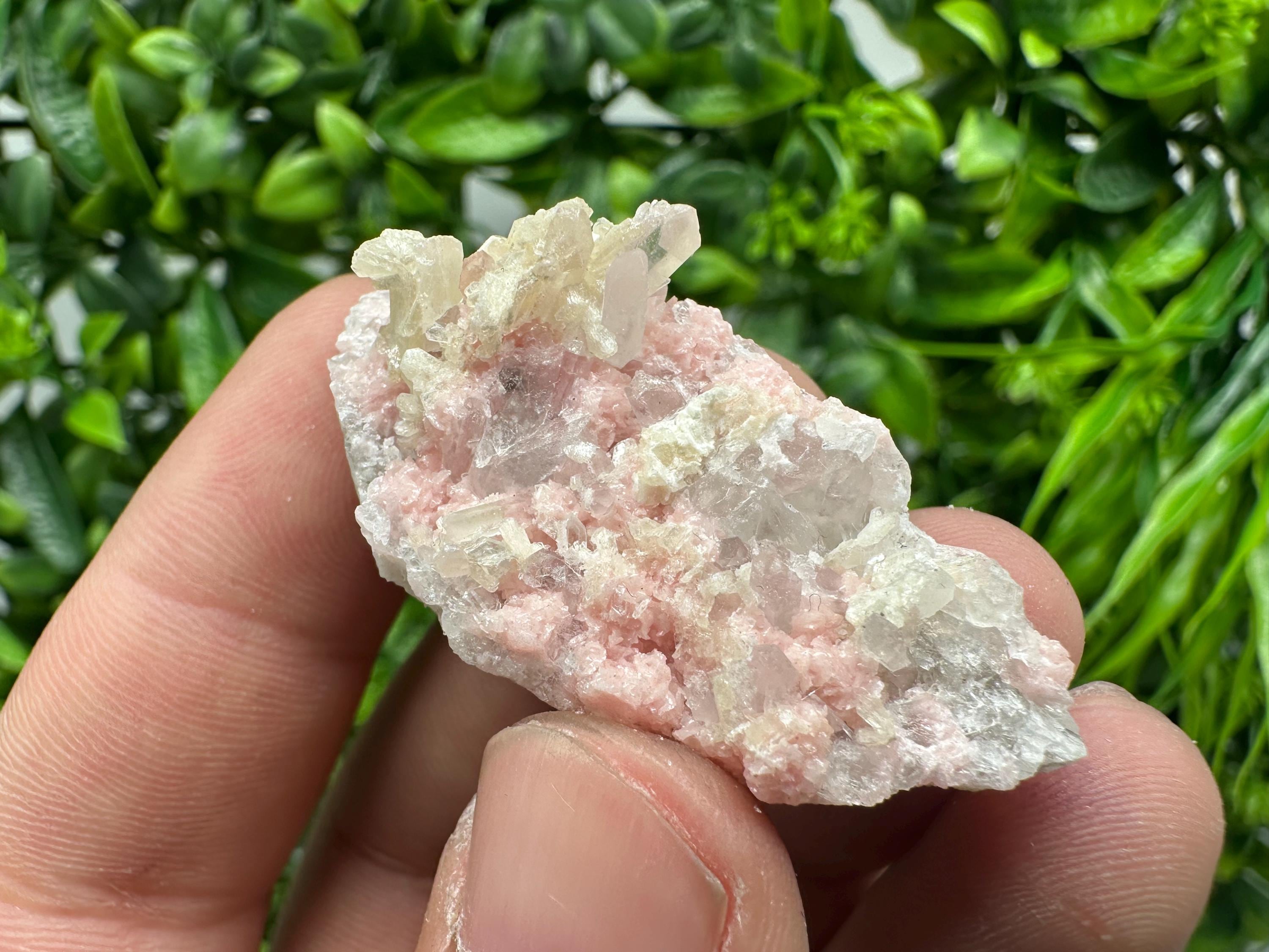 Rhodochrosite on Quartz, Starnica Mine, Bulgaria
