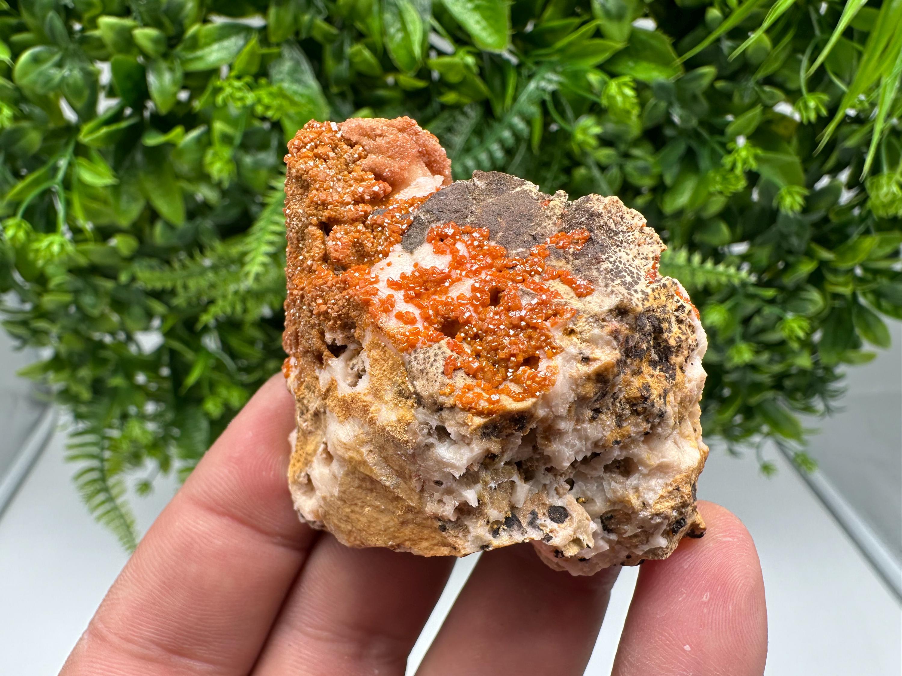 Red Vanadinite on Barite from Marocco,crystal minerals Speciment cluster Vanadinite crystal Vanadinite Geology Vanadinite cluster minerals