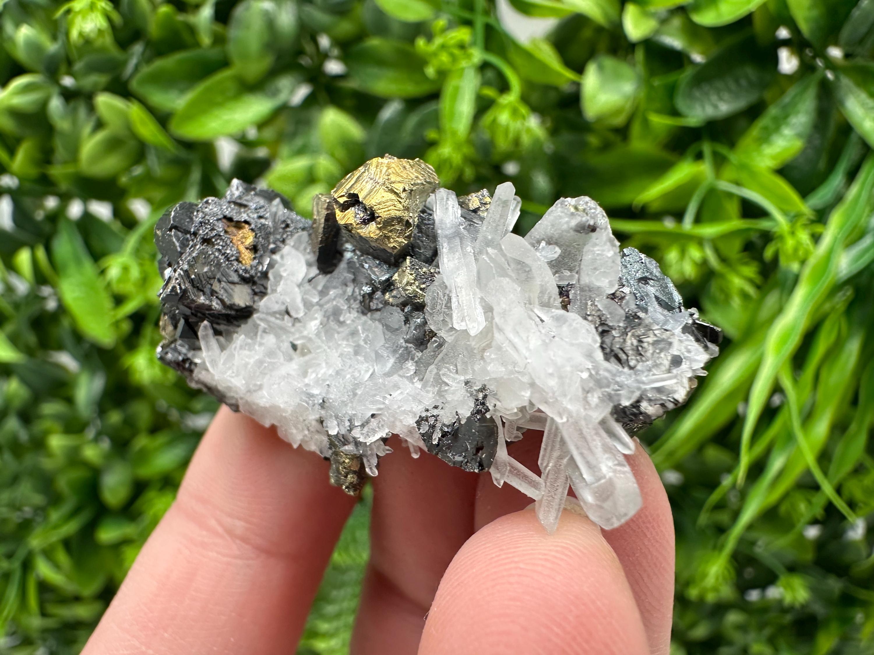 Wonderful Sphalerite Chalcopyrite on  Quartz whit Galena feom 9 th September mine,Bulgaria,natural,collection mineral specimen,gift