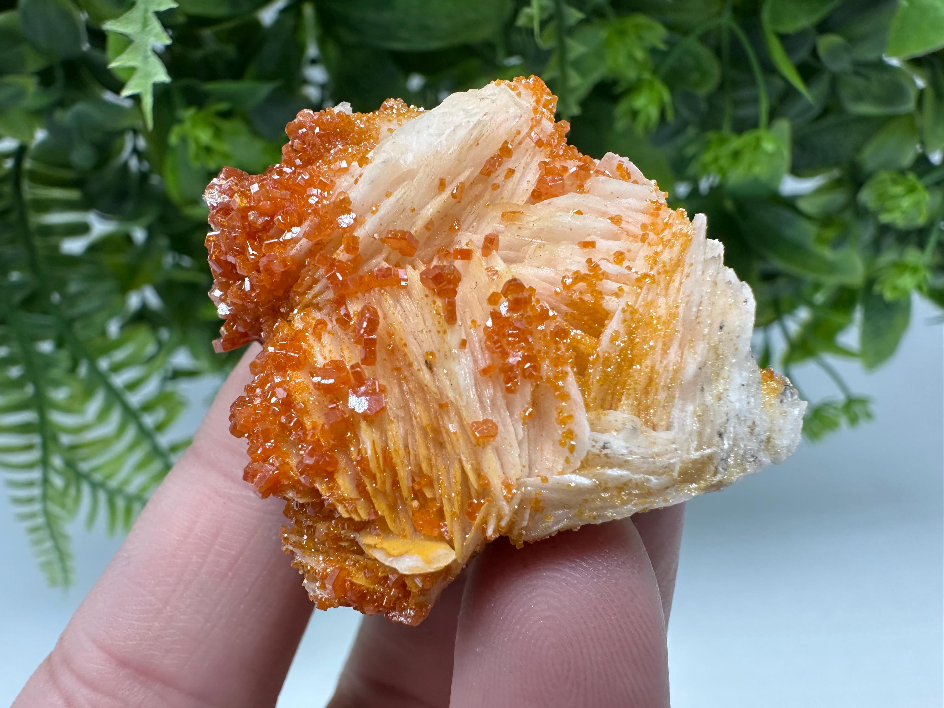 Red Vanadinite on Barite Cluster, Moroccan Mineral Specimen (4/4/2 cm)