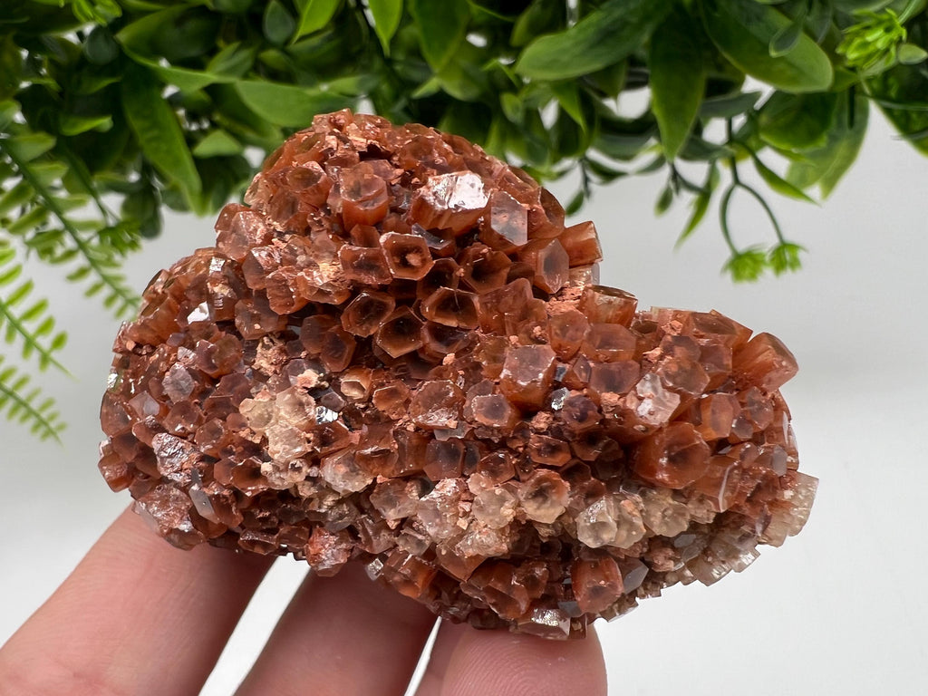 Large Aragonite Sputnik Cluster: Raw Moroccan Crystal Stone