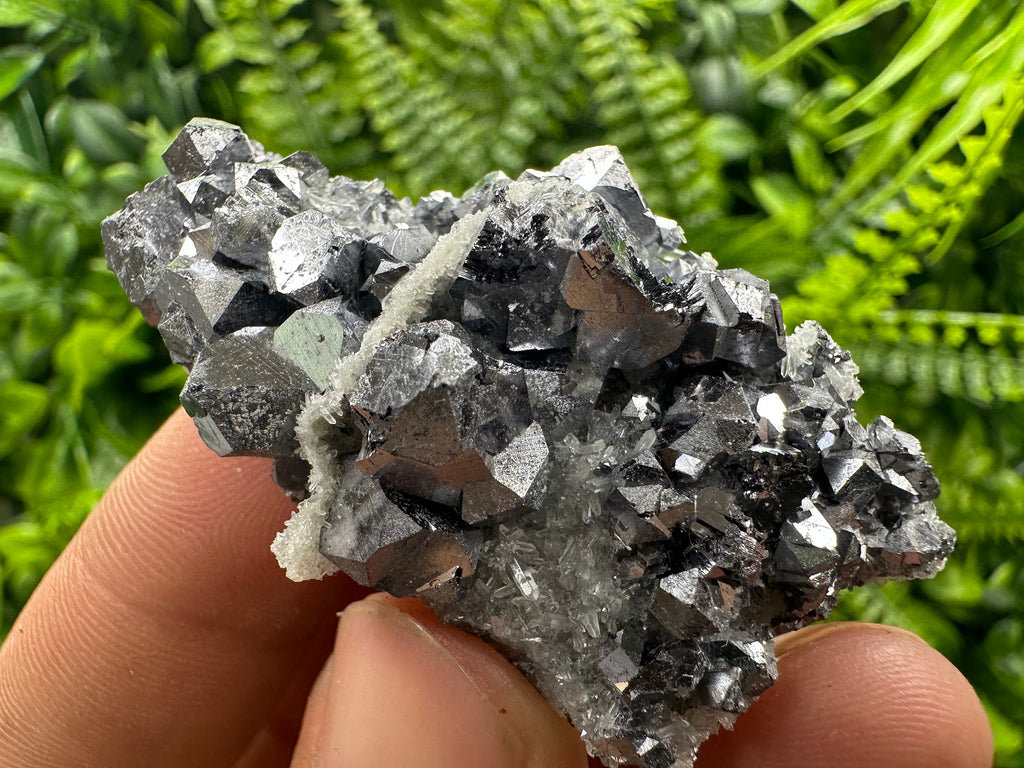 Shiny Galena on Quartz: Natural Mineral Souvenir from Bulgaria