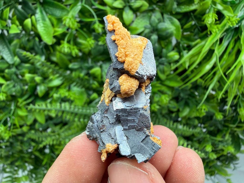 Skeletal Galena with Dolomite: Krushev Dol Mine, Bulgaria