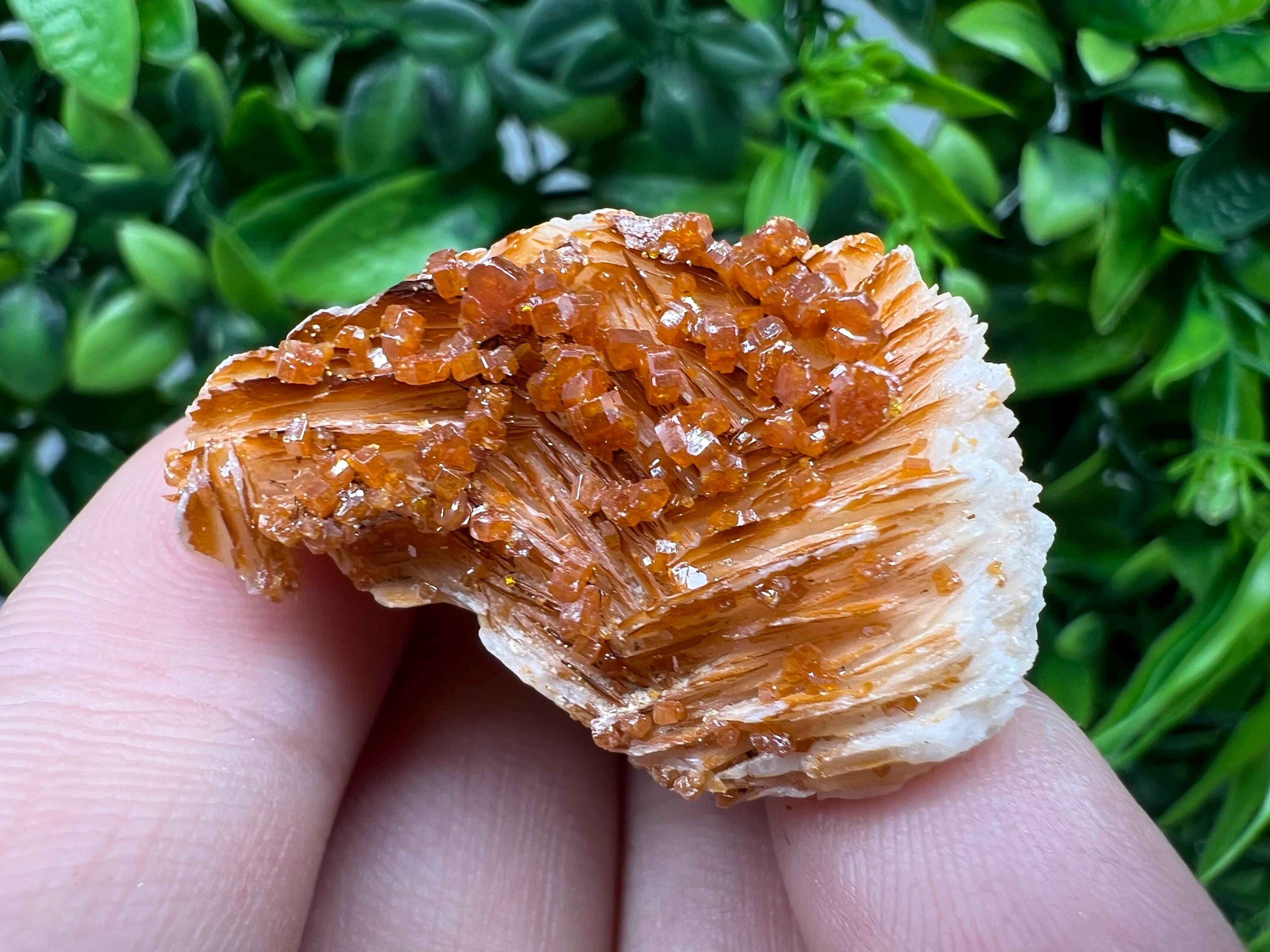 Red Vanadinite on Barite from Marocco,crystal minerals Speciment cluster Vanadinite crystal Vanadinite Geology Vanadinite cluster minerals