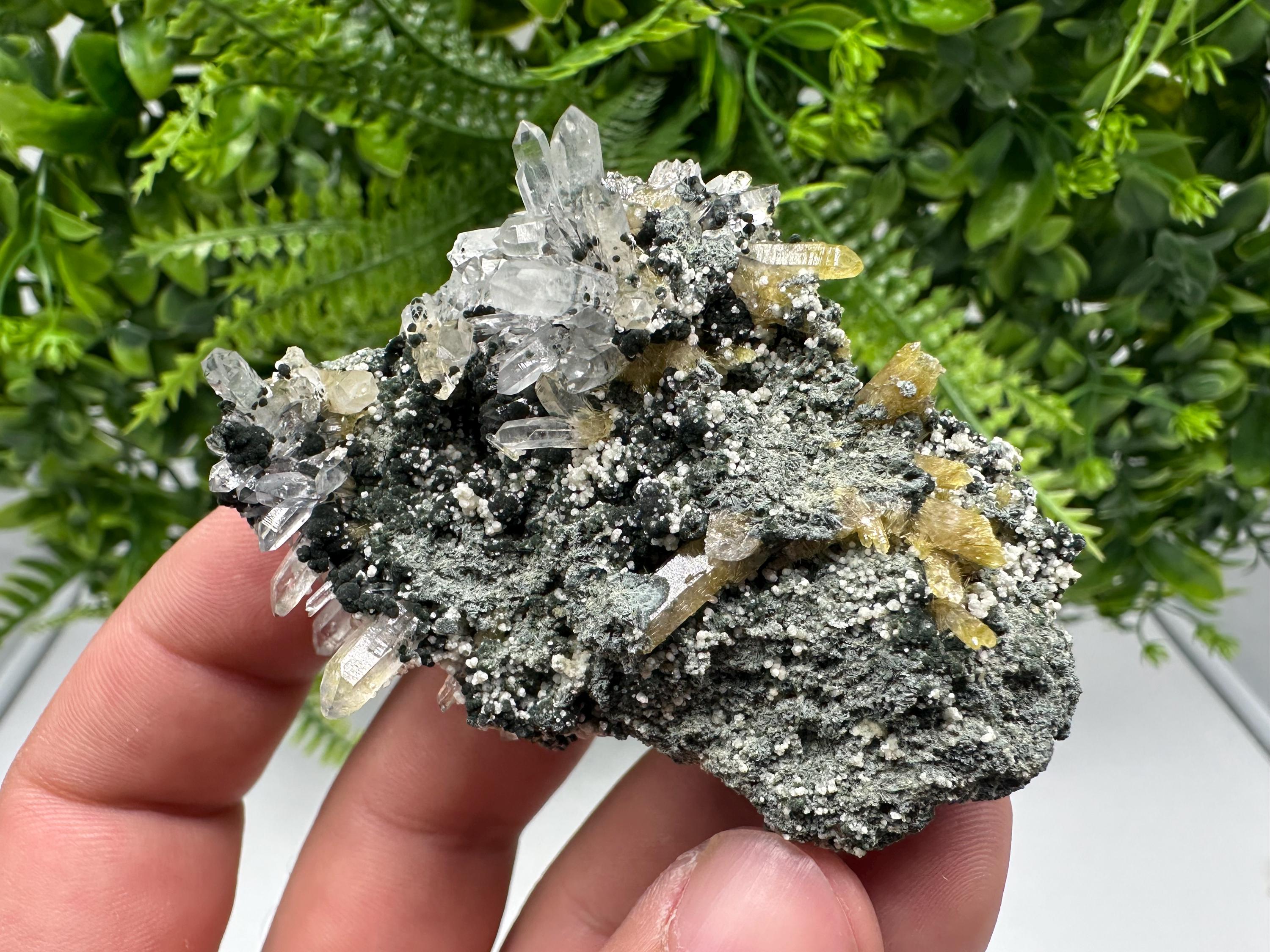 Chlorite Epidote Quartz Specimen: Borieva Mine, Bulgaria