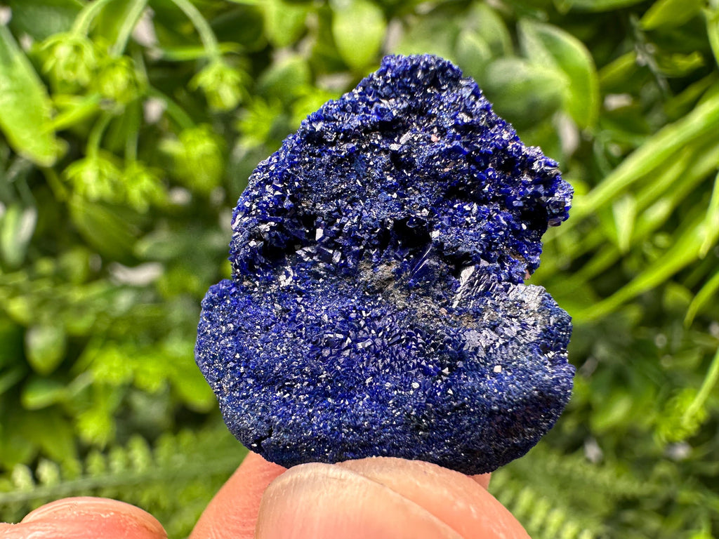 Crystallized Azurite-Kerrouchen,Morocco-Blue Azurite Specimen-High Quality Blue Azurite-Azurite Mineral Specimen, gemmy,lustrous of Azurite