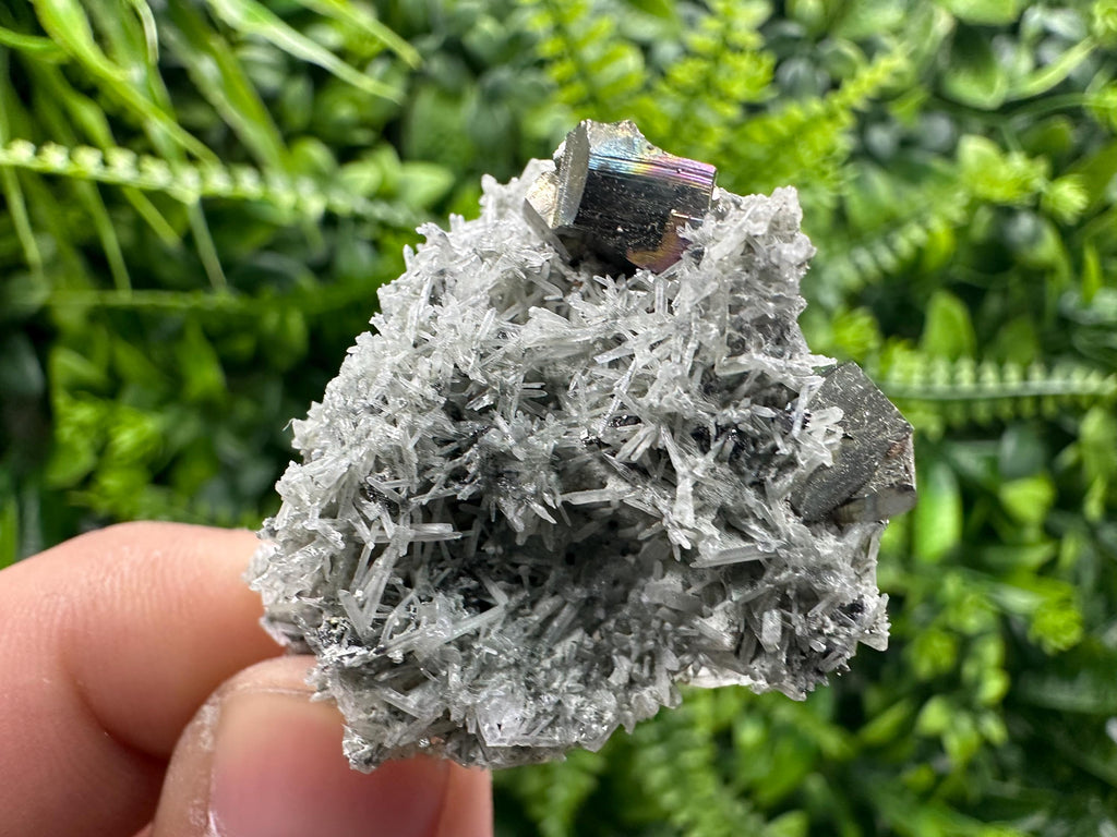 Pyrite on Green Quartz Mineral Specimen, Borieva Mine Crystal