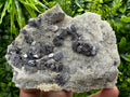 Galena with Quartz Crystal Cluster, Madan Bulgaria Mineral Specimen