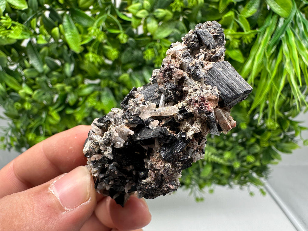 Rare Tourmaline,Rubellite from Vitosha Mountain,Bulgaria,Large Black Tourmaline,Rubellite,mineral specimen,collection,collections Tourmaline