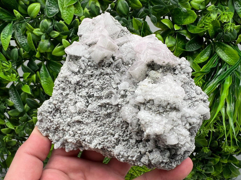 UV Reactive Mangano Calcite Crystal, Androvo Mine Bulgaria