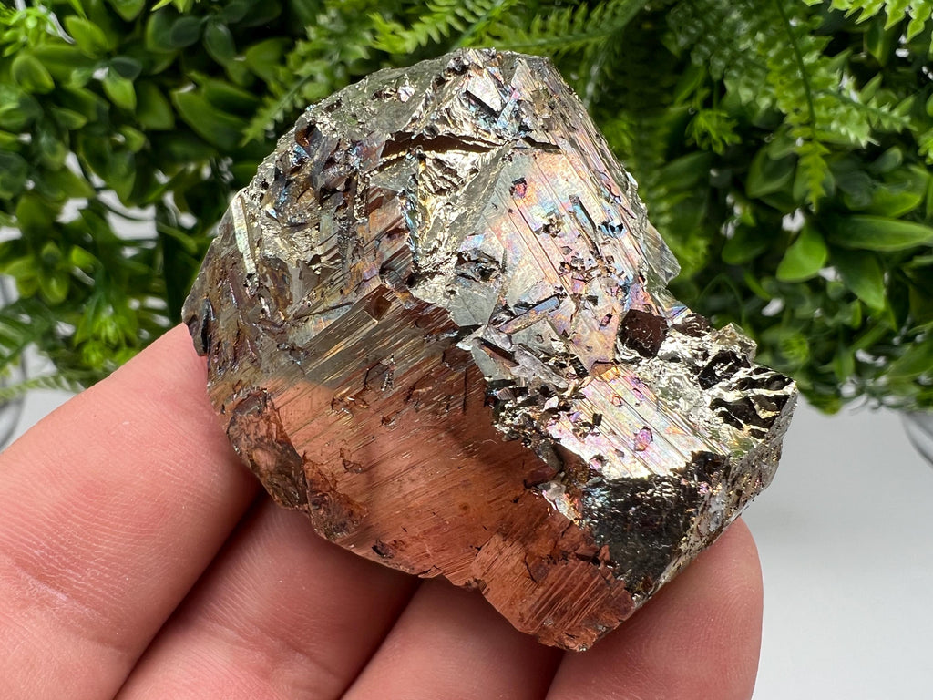 Rainbow Pyrite Hematite Cluster: Borieva Mine, Bulgaria