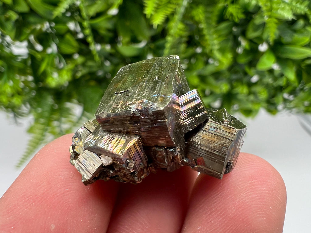 Rainbow Pyrite Hematite Cluster: Borieva Mine, Bulgaria