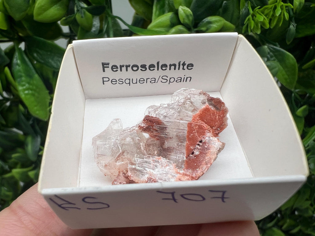 Rare Ferroselenite Specimen: La Pesquera, Spain Mineral Crystal (3.3/3 cm)