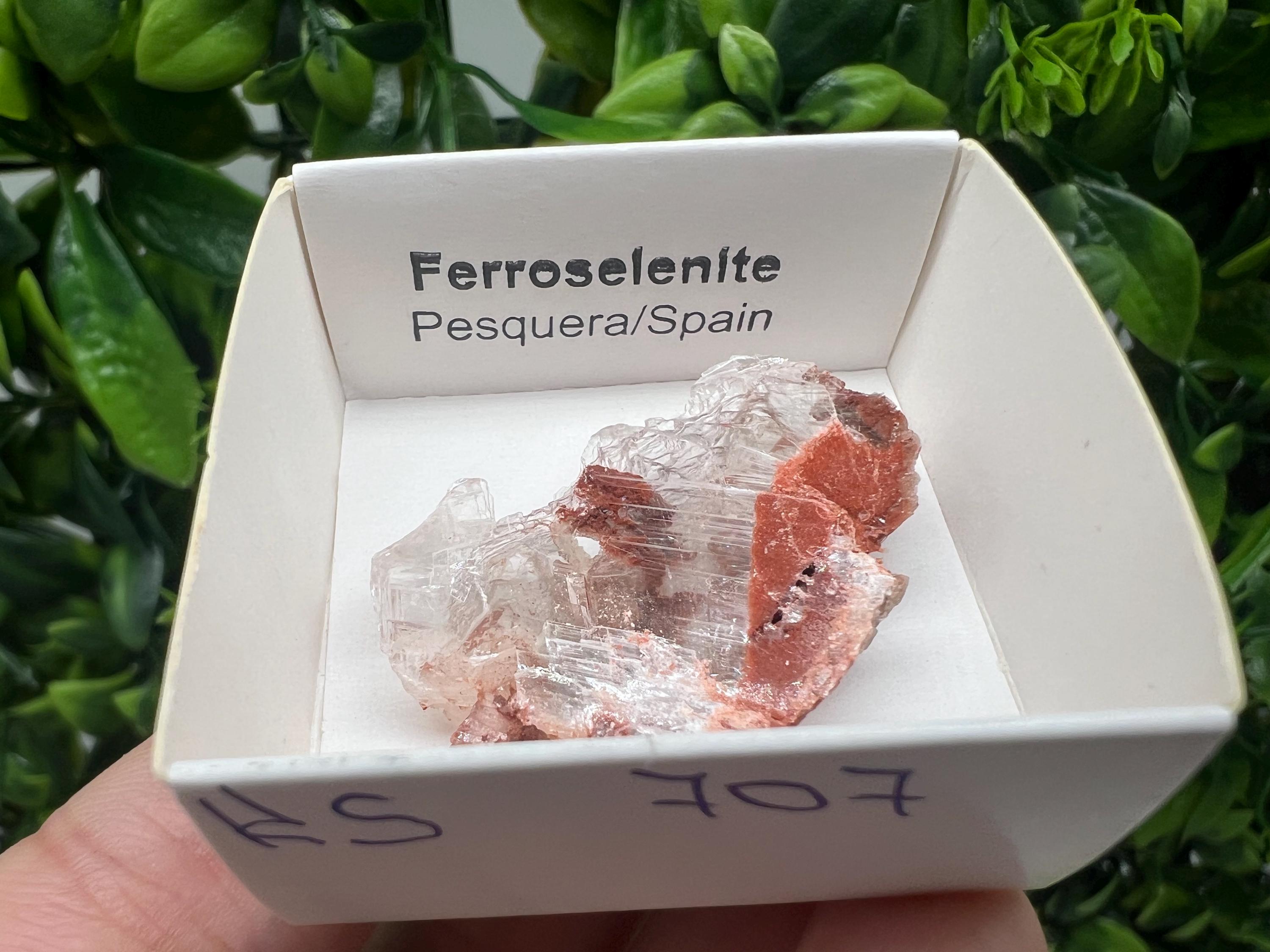 Rare Ferroselenite Specimen: La Pesquera, Spain Mineral Crystal (3.3/3 cm)