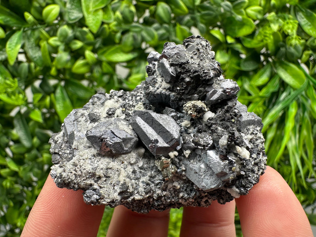 Stunning Shpinel Galena on Sphalerite from Borieva mine,Madan,Bulgaria,Natural,collectible mineral specimen,home decor,collectible’s crystal
