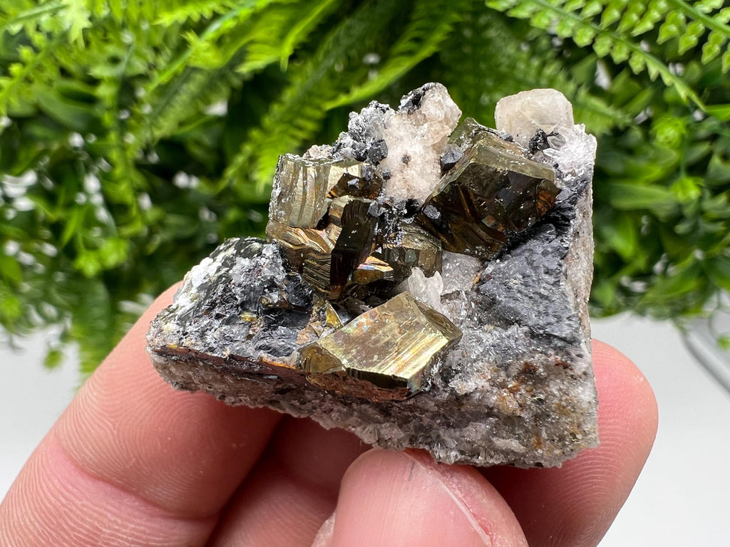 Pyrite with Hematite, Sphalerite and Quartz Specimen, Bulgaria