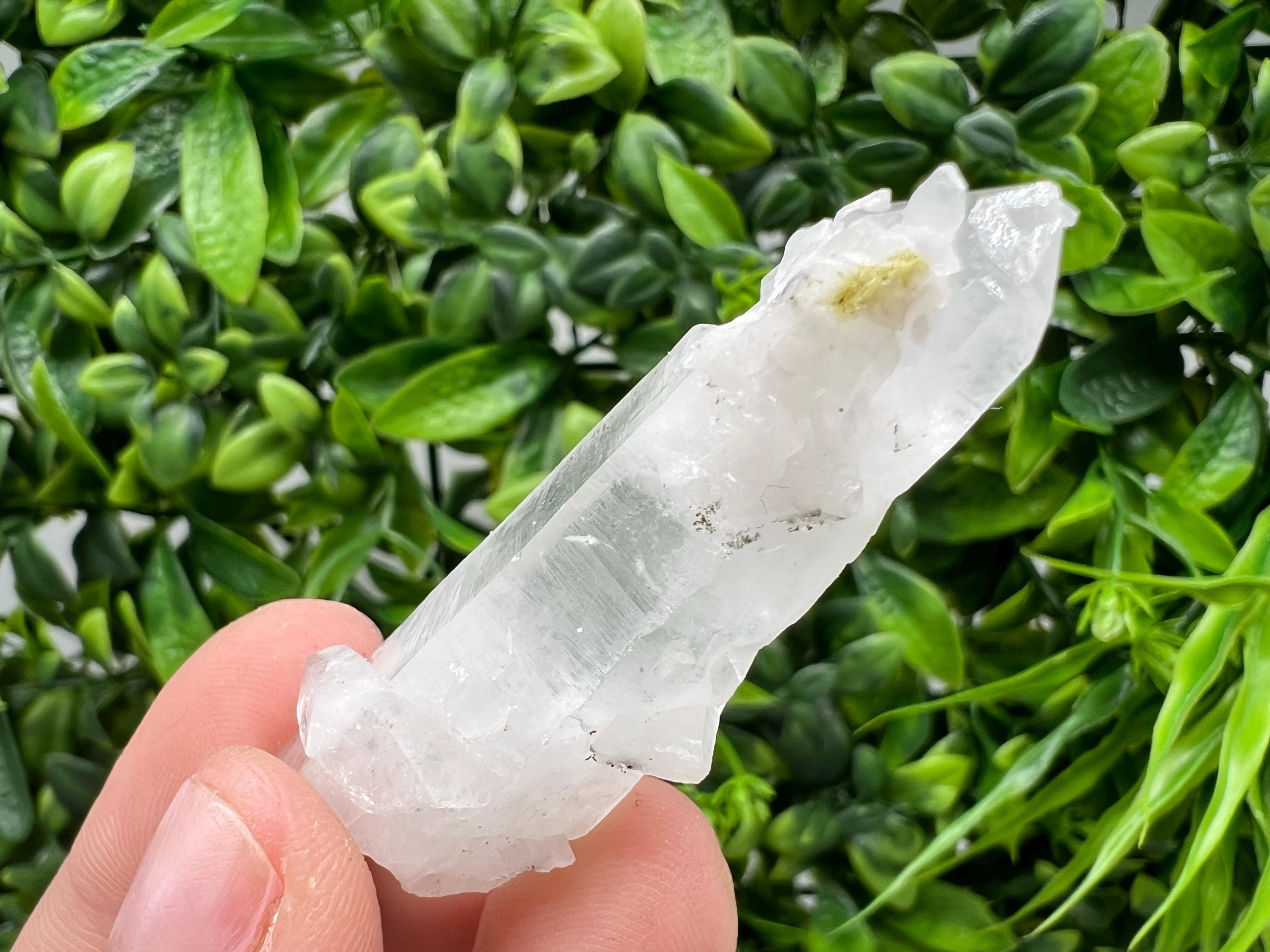 Transparent Quartz on Chlorite Matrix, Borieva Mine, Bulgaria