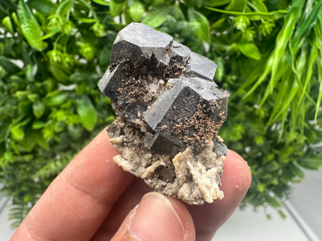 Skeleton Galena Cluster: Rare Morphology Crystal Mineral, Bulgaria