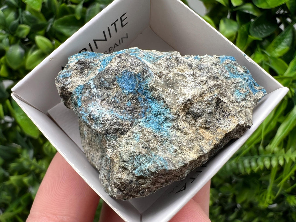 Rare Raw Aerinite Mineral Specimen: Lleida, Spain Collection Crystal