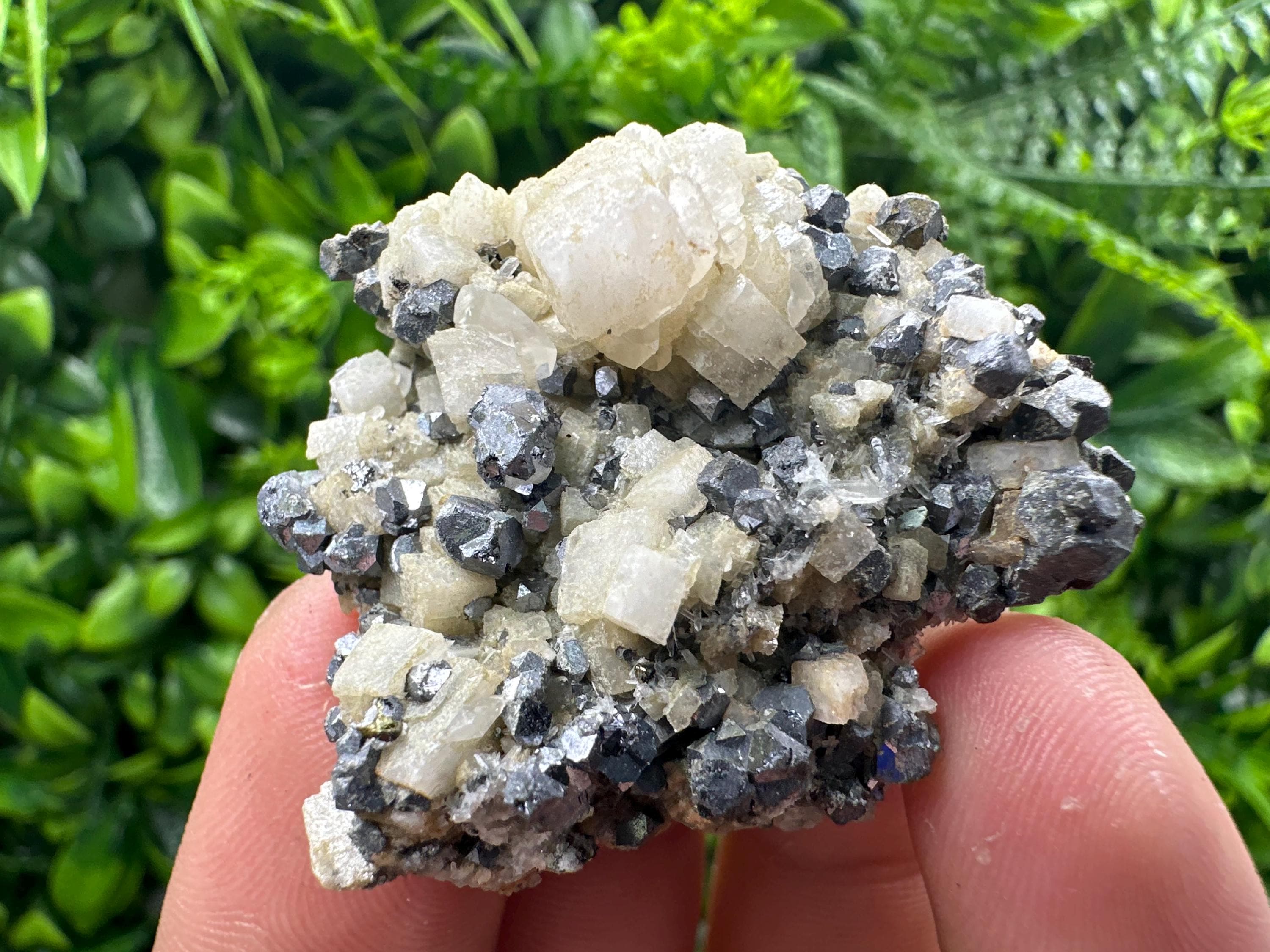 Galena Chalcopyrite on Calcite, Borieva Mine, Bulgaria
