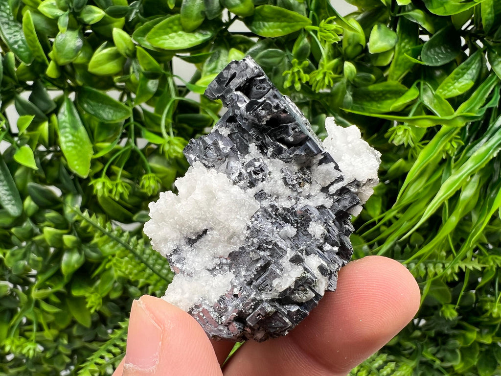 Galena Chalcopyrite on Calcite and Quartz, Natural Mineral Collection, Borieva Bulgaria