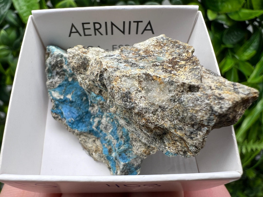 Rare Raw Aerinite Mineral Specimen: Collection Crystal from Lleida, Spain (5/3 cm