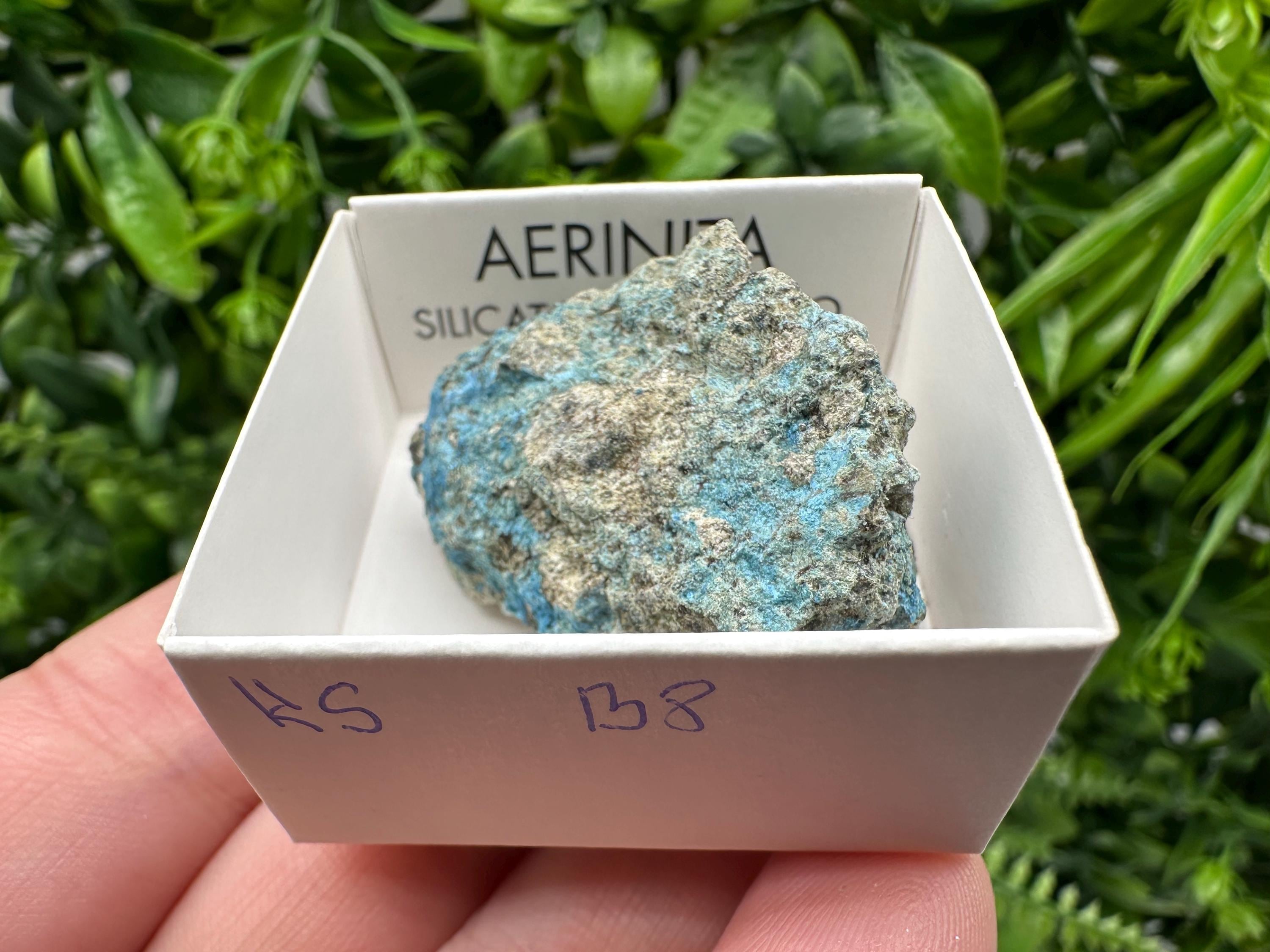 Rare Raw Aerinite Mineral Specimen: Lleida, Spain Crystal
