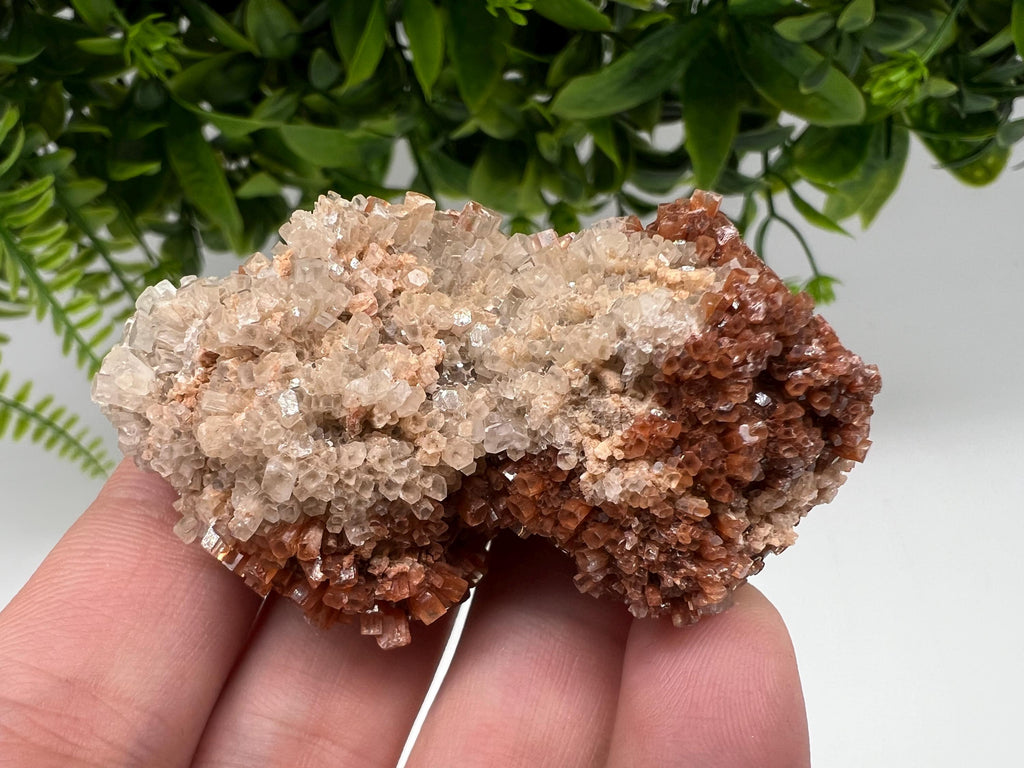 Large Aragonite Sputnik Cluster: Raw Moroccan Crystal Stone