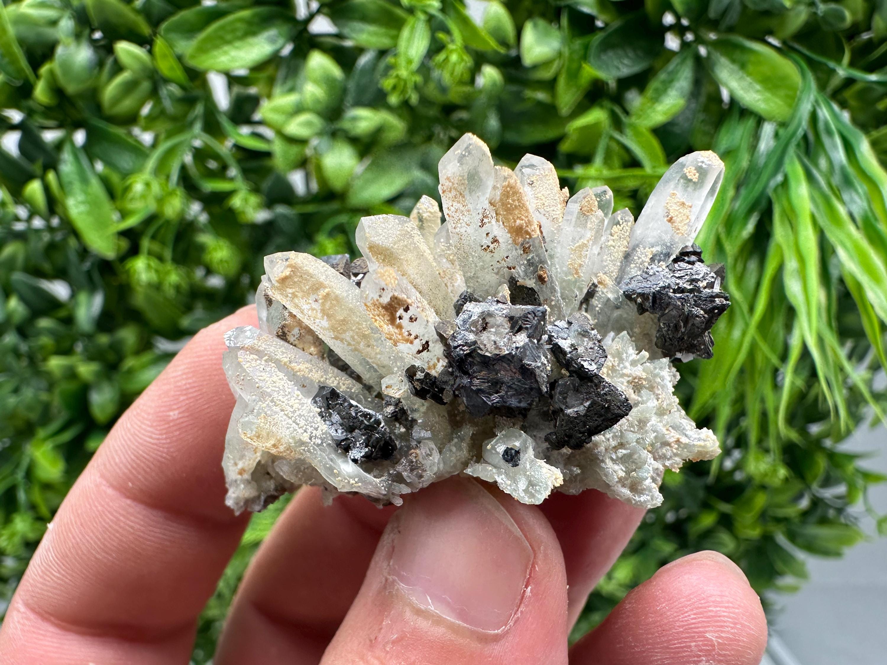 Wonderful Sphalerite Chalcopyrite on Green Quartz whit Hematite feom 9 th September mine,Bulgaria,natural,collection mineral specimen,gift