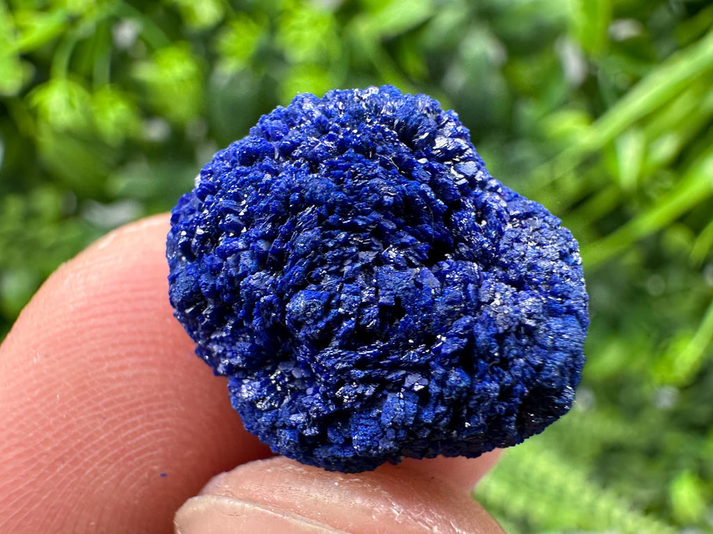 Crystallized Azurite-Kerrouchen,Morocco-Blue Azurite Specimen-High Quality Blue Azurite-Azurite Mineral Specimen, gemmy,lustrous of Azurite