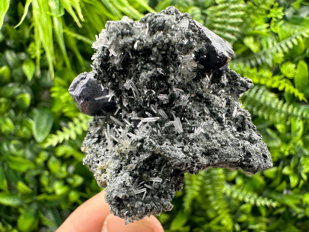 Sphalerite Galena on Green Quartz: Borieva Mine Crystal Decor
