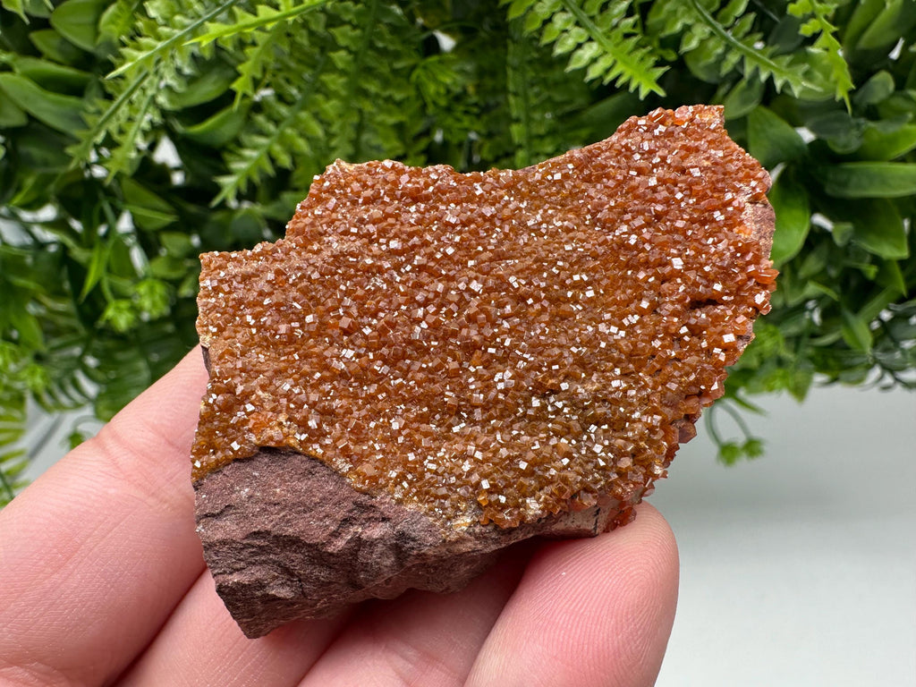 Red Vanadinite on Matrix from Marocco,crystal minerals Speciment cluster Vanadinite crystal Vanadinite Geology Vanadinite cluster minerals