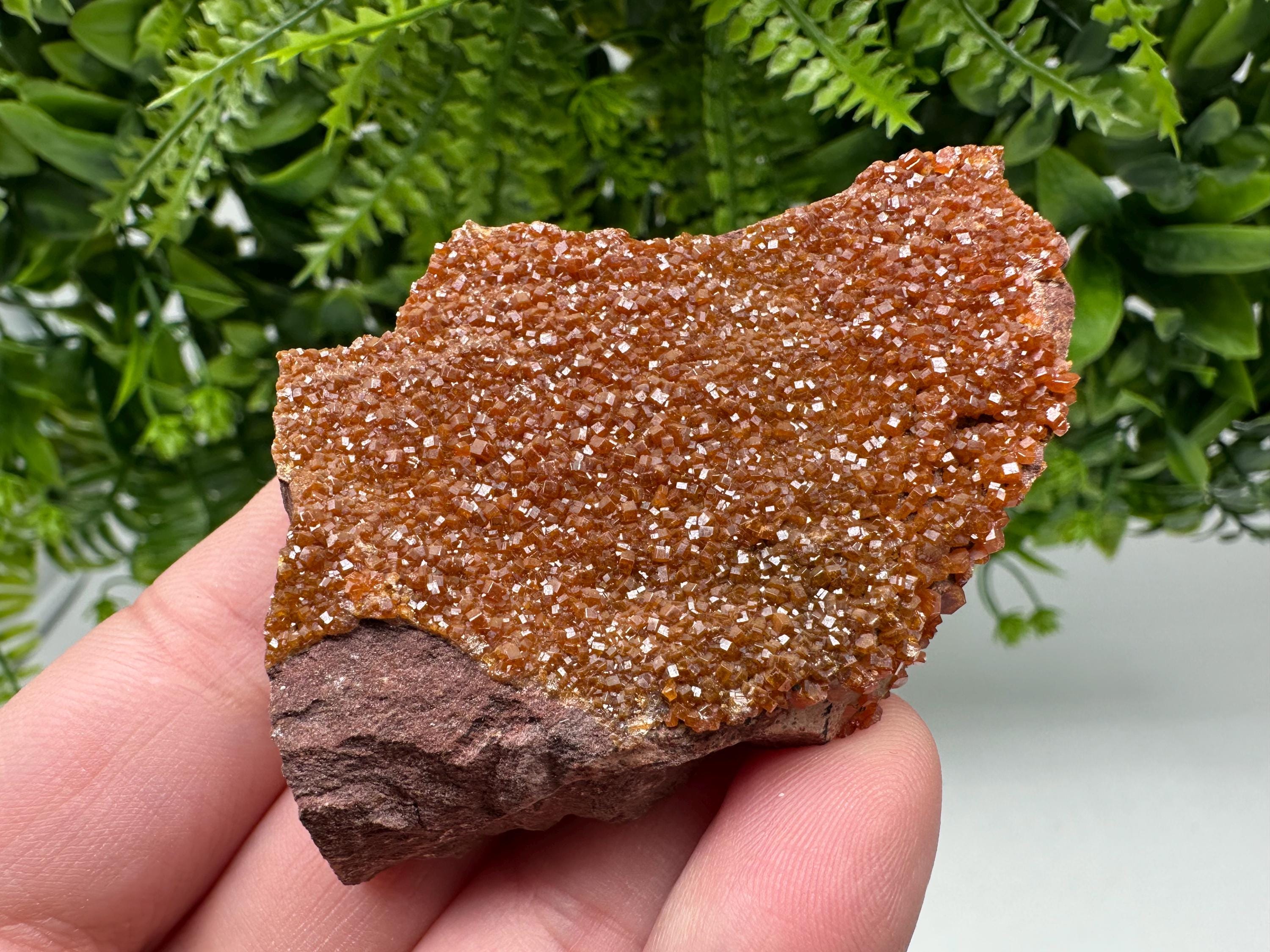 Red Vanadinite on Matrix from Marocco,crystal minerals Speciment cluster Vanadinite crystal Vanadinite Geology Vanadinite cluster minerals